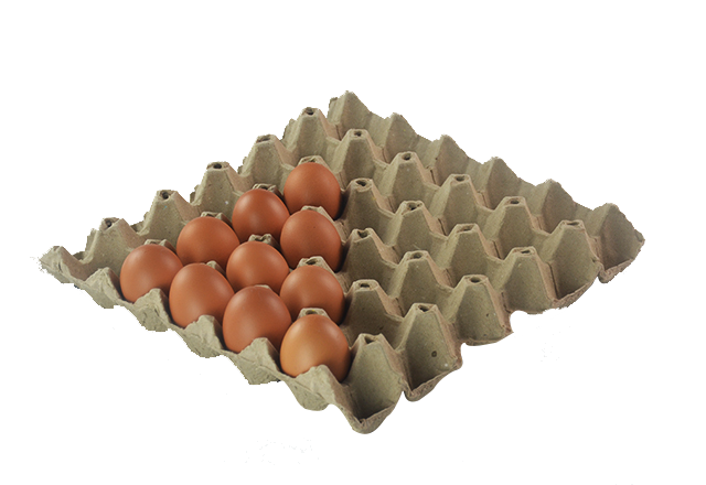可降解30枚鸡蛋托