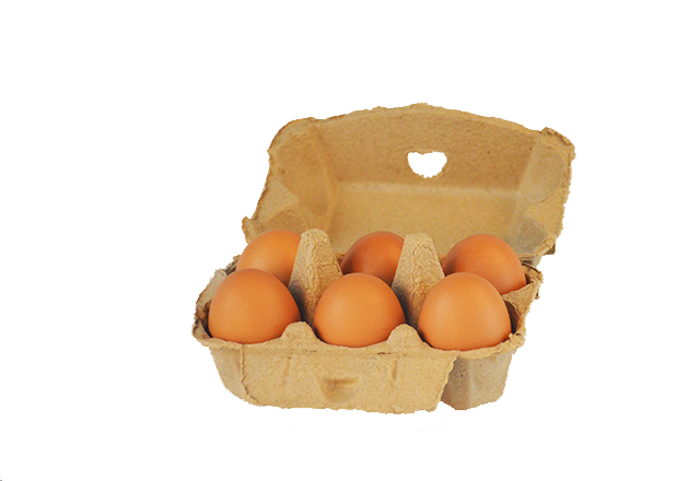 产品名称：可降解6枚鸡蛋盒
