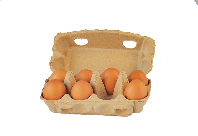 可降解8枚鸡蛋盒