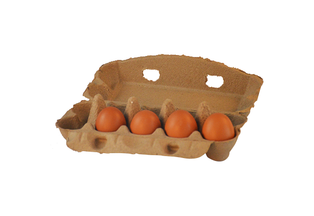 可降解10枚鸡蛋盒