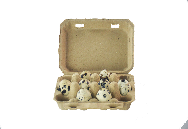 可降解12枚纸浆鹌鹑蛋盒